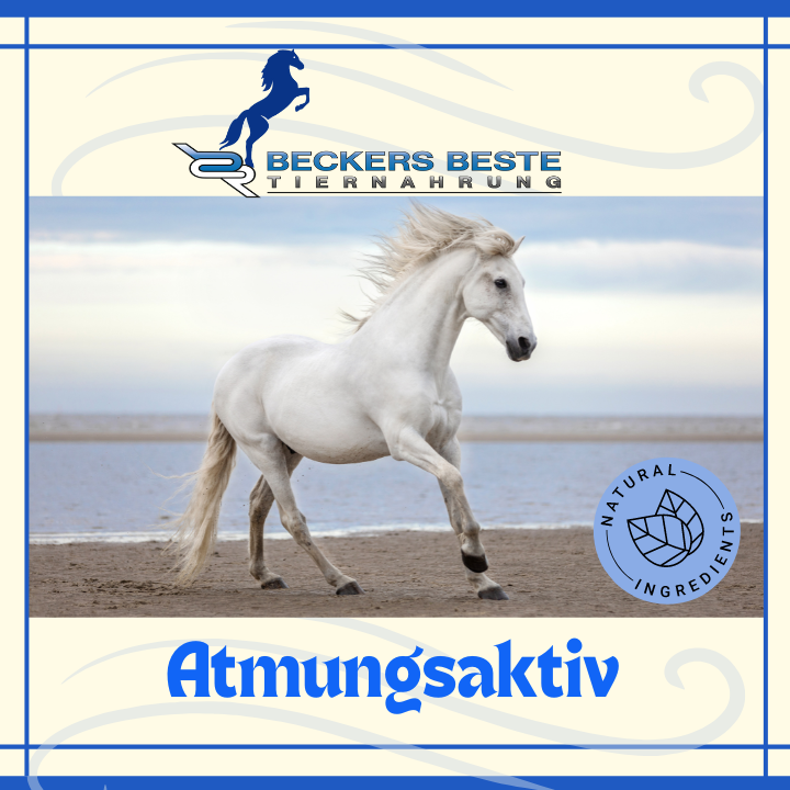 Beckers Bestes Atmungsaktiv